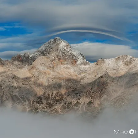 Artemida Apartma Bled