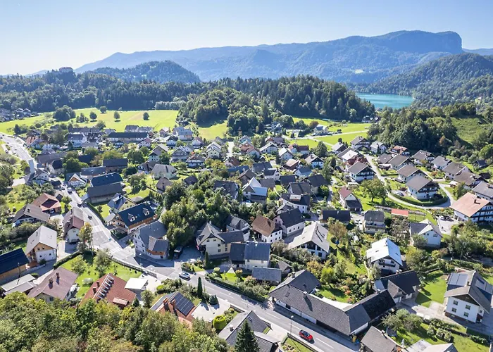 Artemida ブレッド