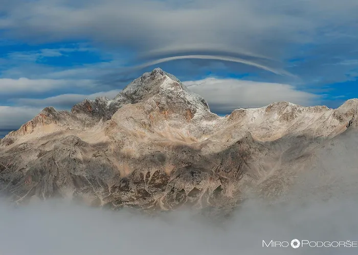 أرتيميدا شقة بليد